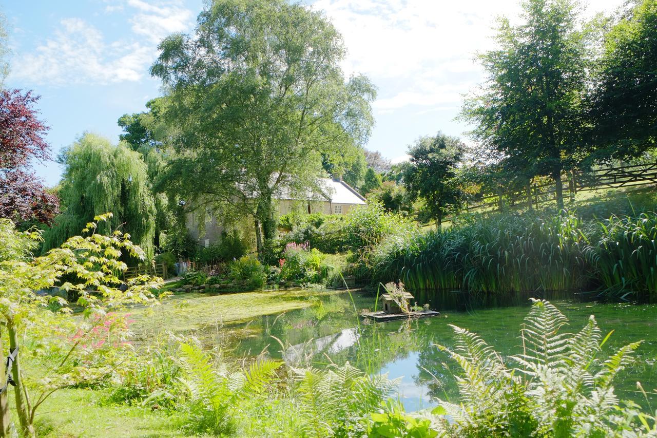 Bagnell Cottage Chiselborough Exterior foto